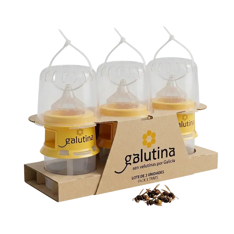 3-pack of Galutinas
