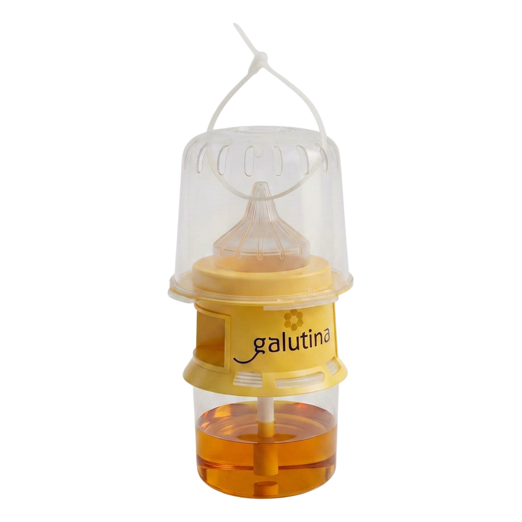 A trampa Galutina con cebo atraente amarelo