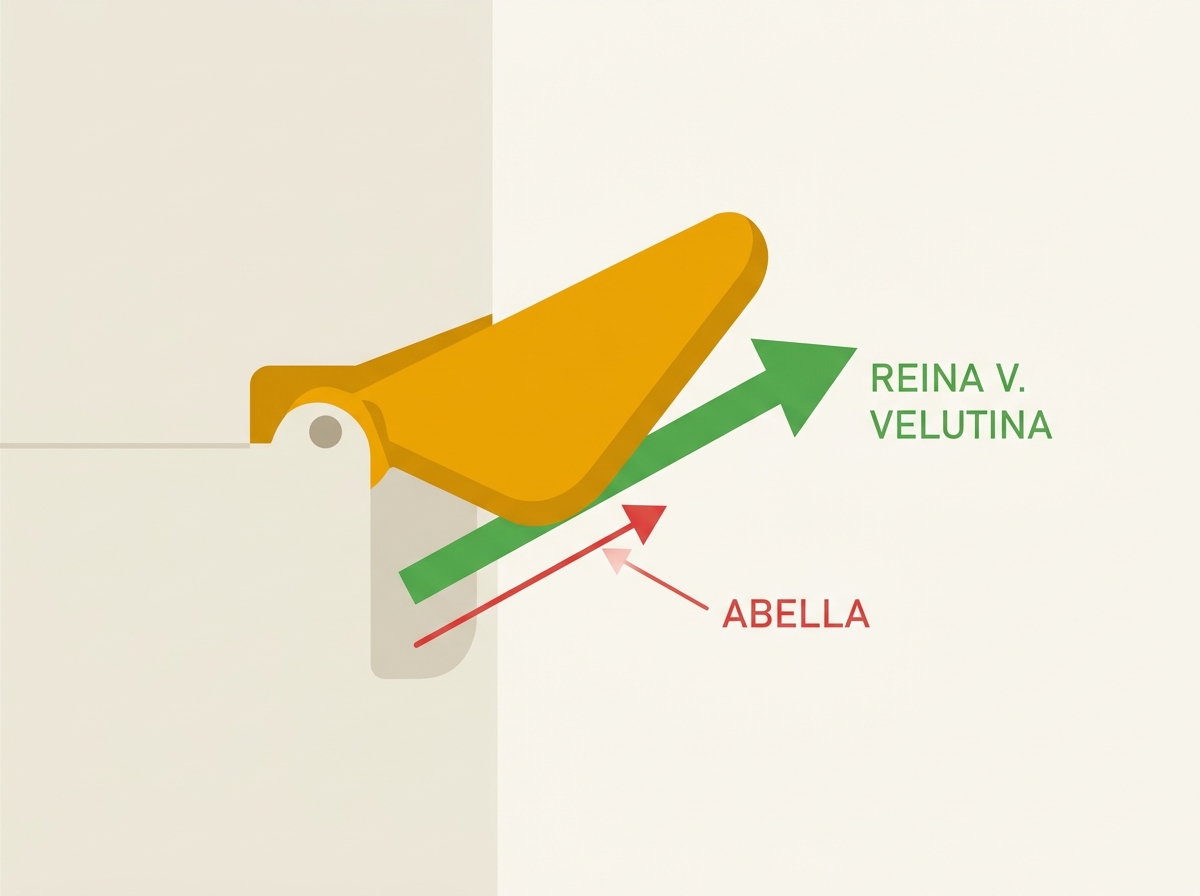 Esquema de la trampilla con fuerza calibrada